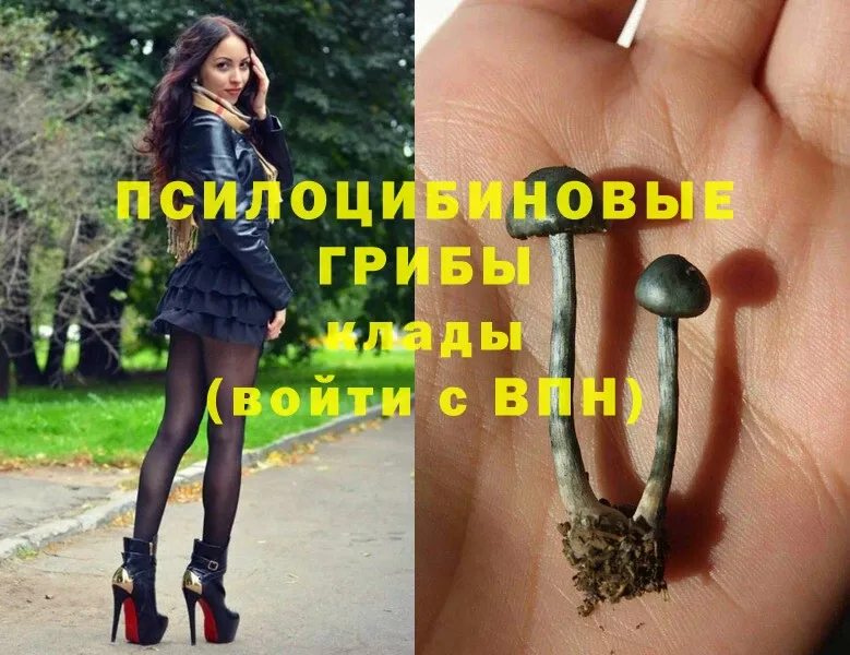 shop какой сайт  Фёдоровский  Псилоцибиновые грибы MAGIC MUSHROOMS 